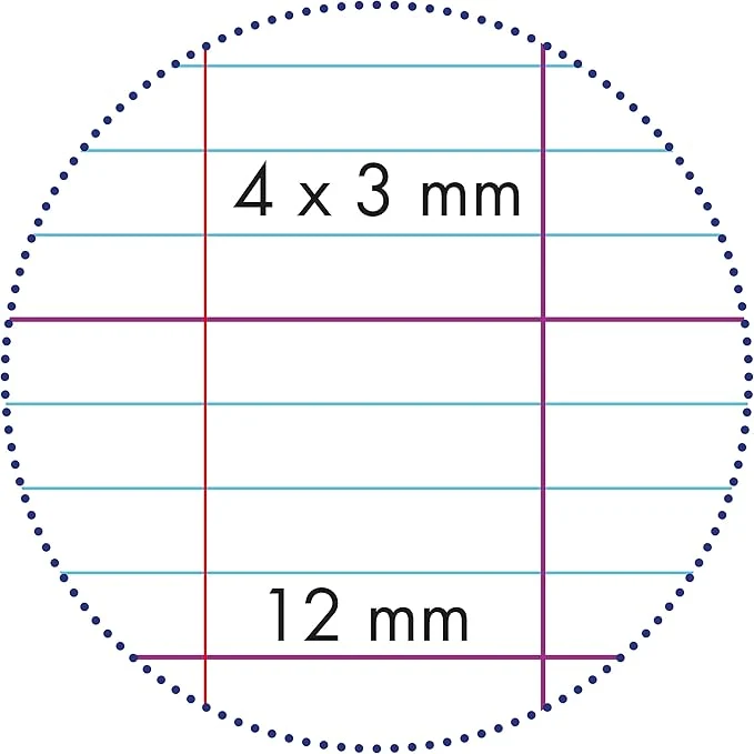 Cahier piqué 17x22 cm 32 pages- 3 mm agrandis 12/12