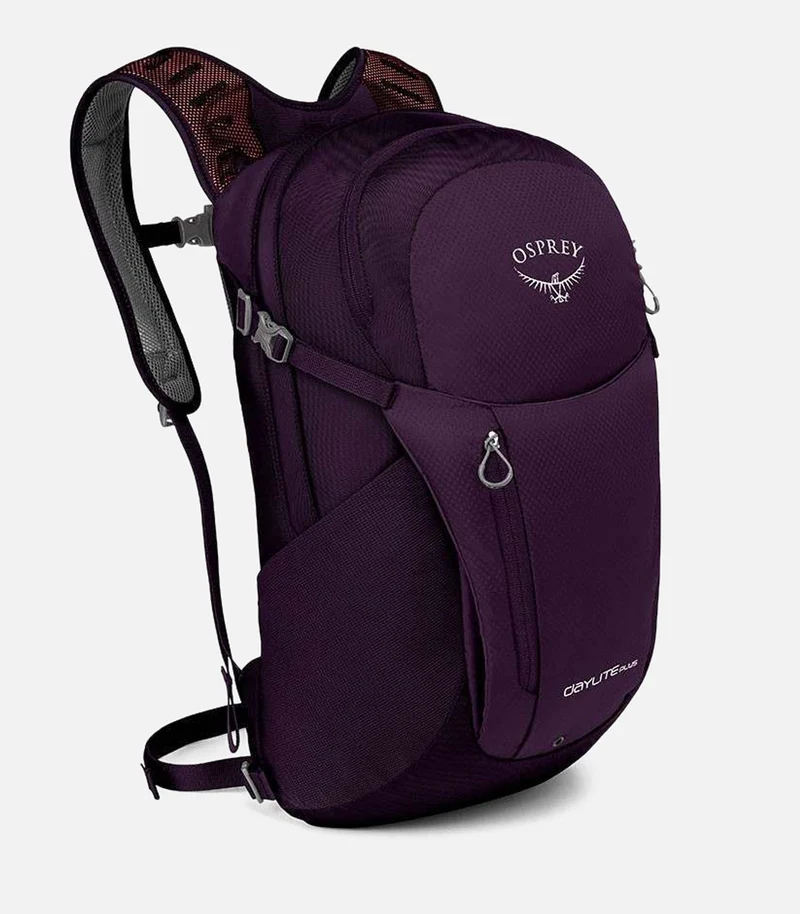 DAYLITE PLUS