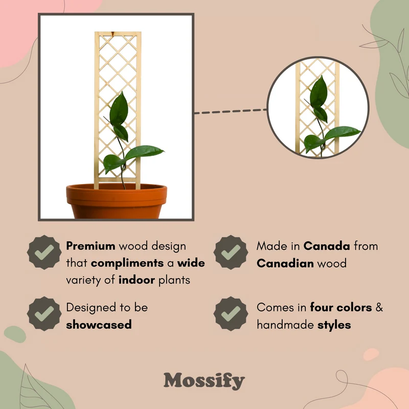 Cross-Hatch Wooden Trellis