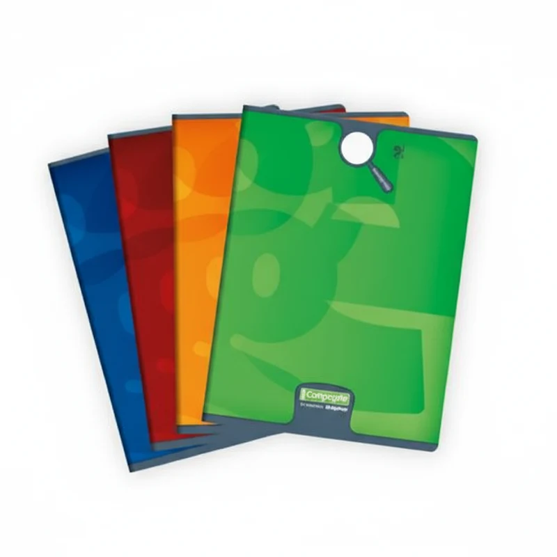 Cahier 21x29.7cm - 90 gr - seyes - 96 pages