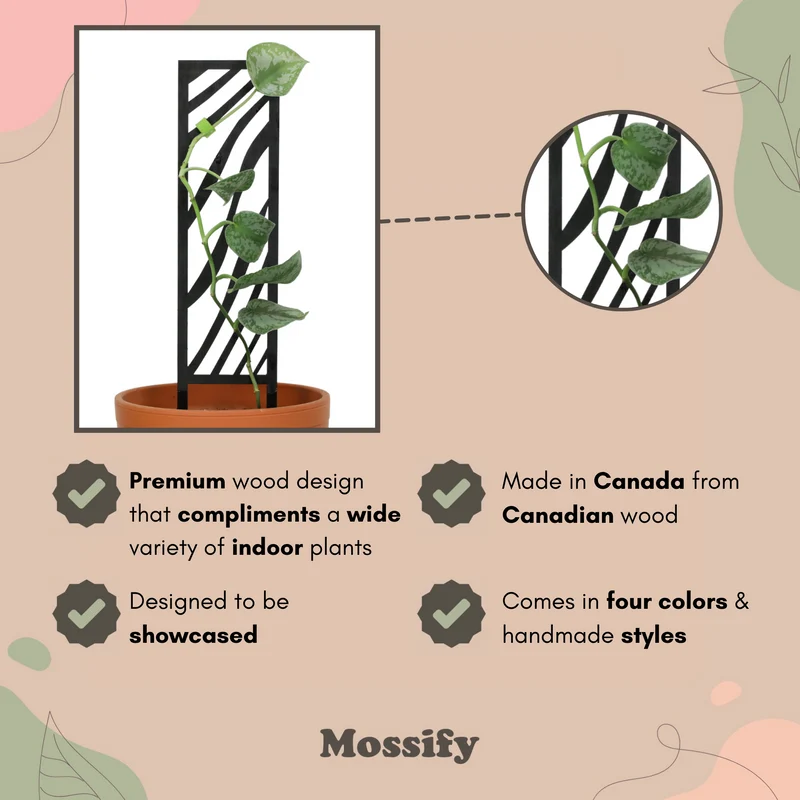 Zebra Wooden Trellis